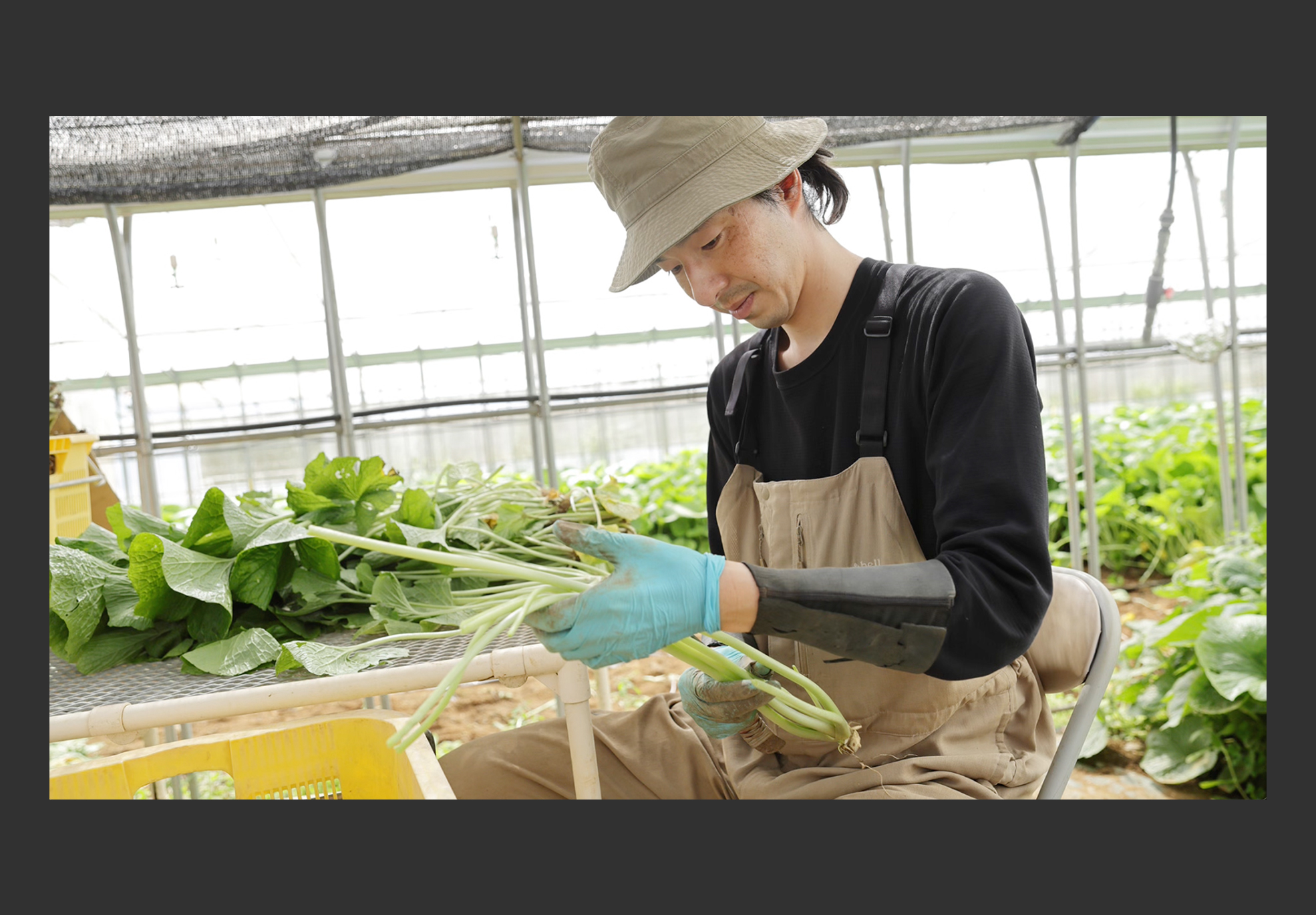 タムラ食品 様（沼津市）食品加工業